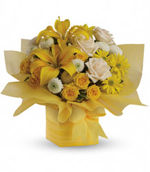 Sunshine Surprise Present Flower Power, Florist Davenport FL